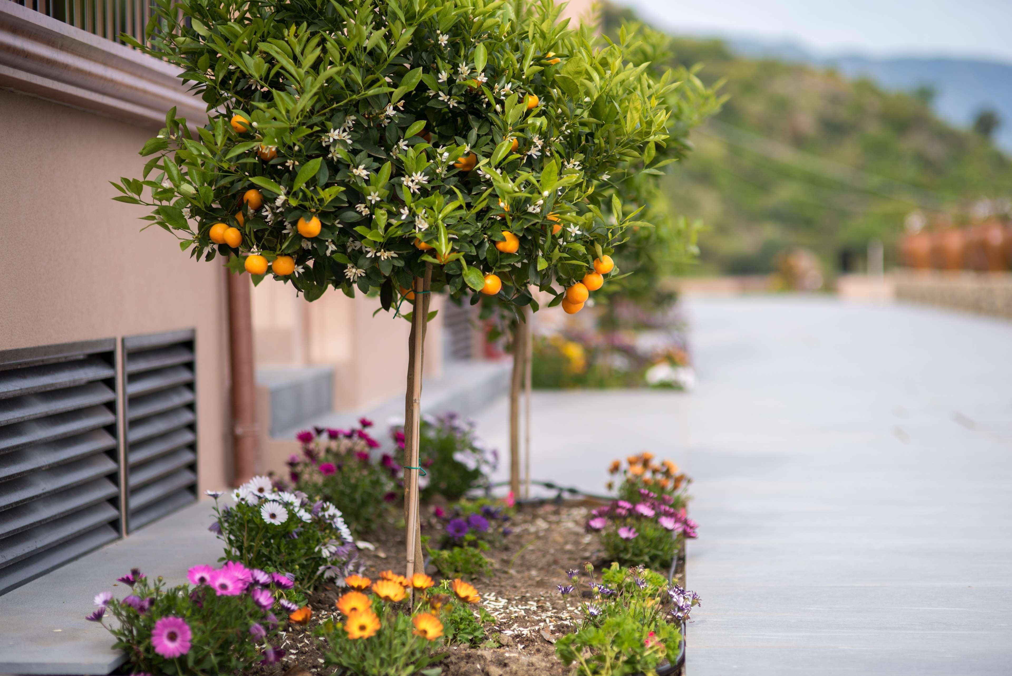 Best Western Plus Hotel Terre Di Eolo Patti Exterior photo